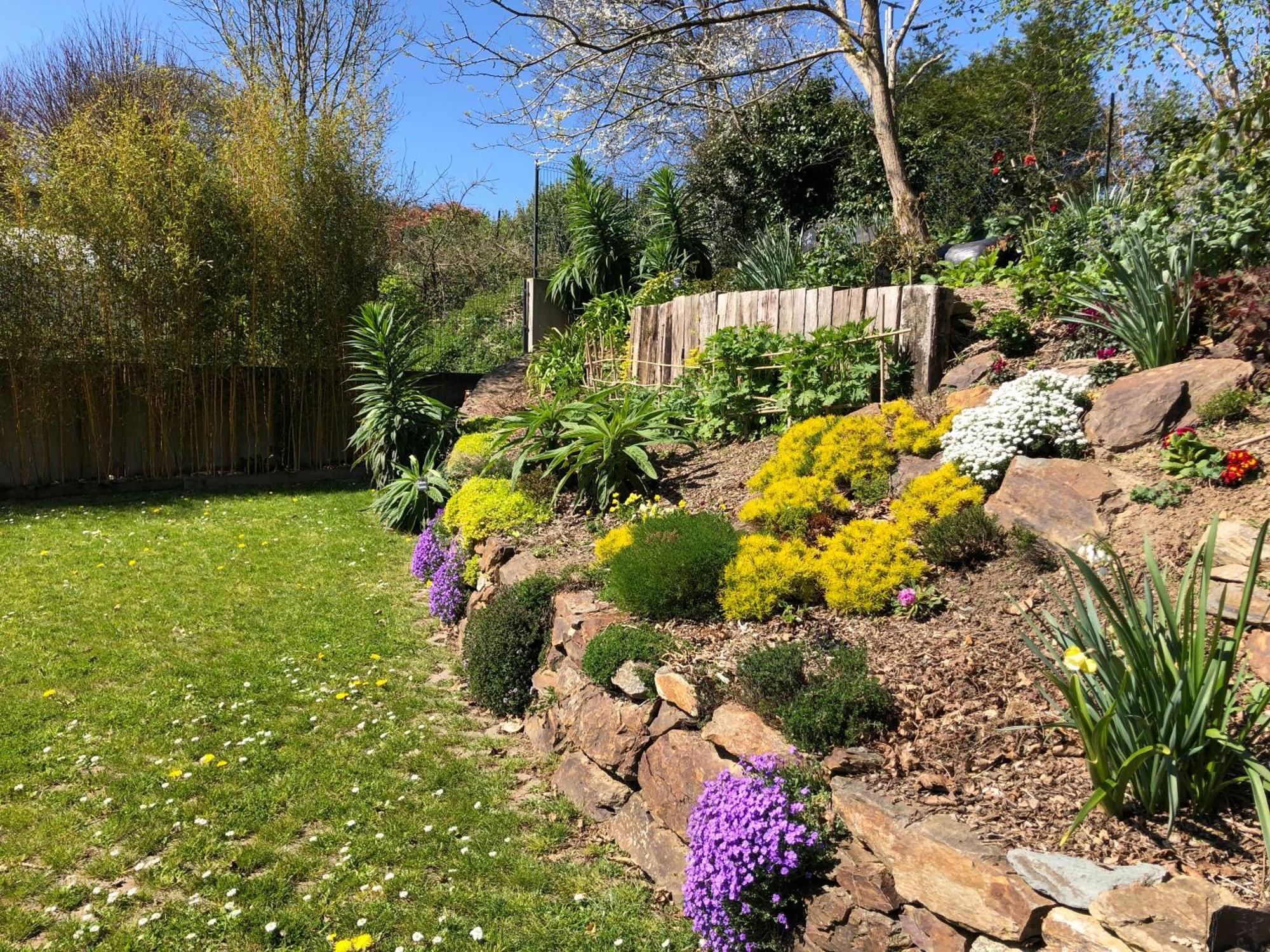 Bed and Breakfast La Miellerie Lannion Esterno foto
